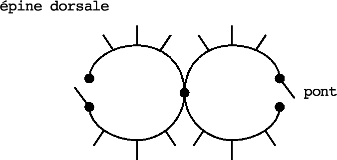 \includegraphics[width=15cm]{../Images/g1-dan-lb.epsi}